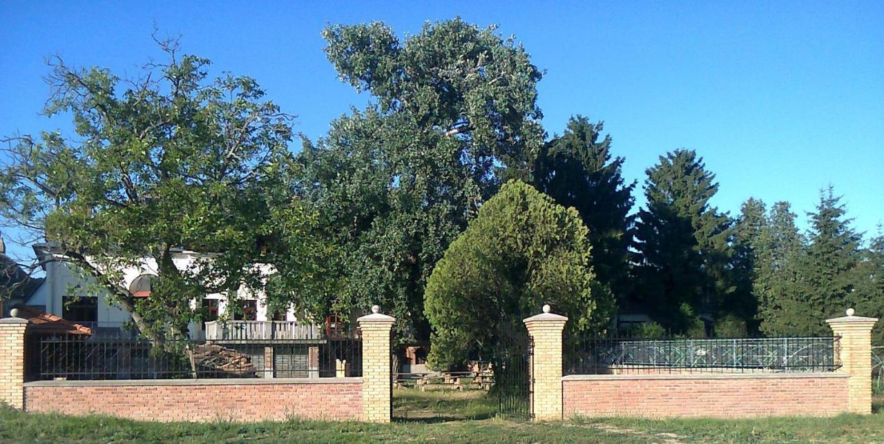 Goencoelhaz Hostel Vác Екстериор снимка